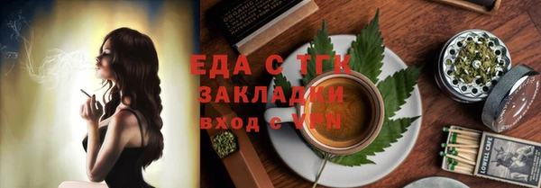 шишки Сатка