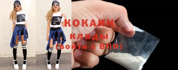 индика Саяногорск