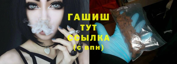 индика Саяногорск