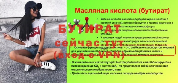 шишки Сатка