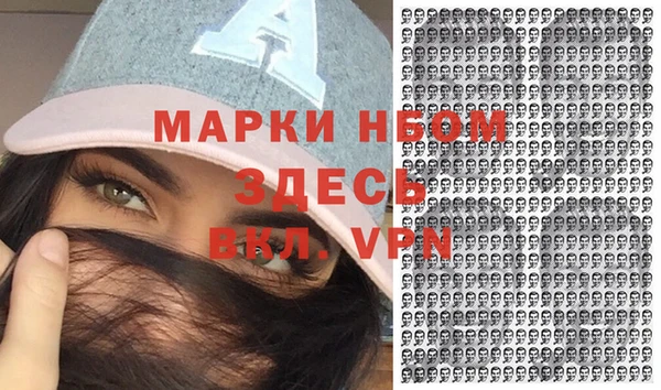 индика Саяногорск