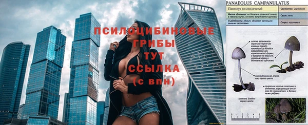 индика Саяногорск