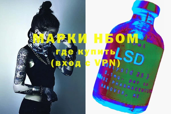 шишки Сатка