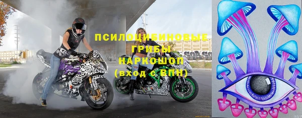 индика Саяногорск