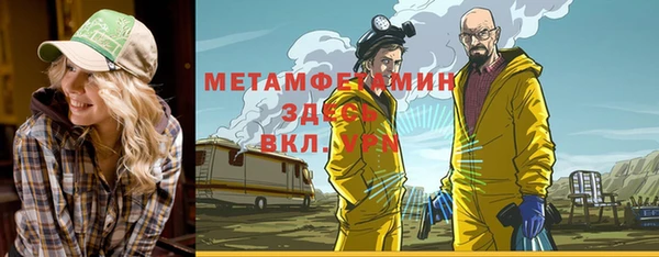 индика Саяногорск
