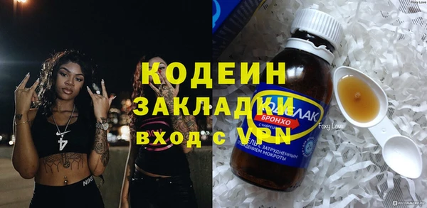 шишки Сатка