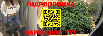 мяу мяу мука Ирбит