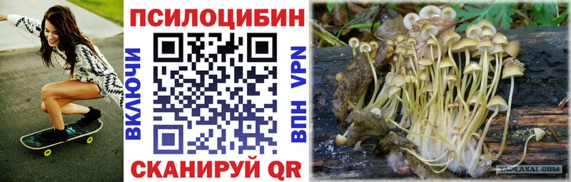 наркошоп Северобайкальск мориарти официальный сайт Галлюциногенные грибы мухоморы hydra